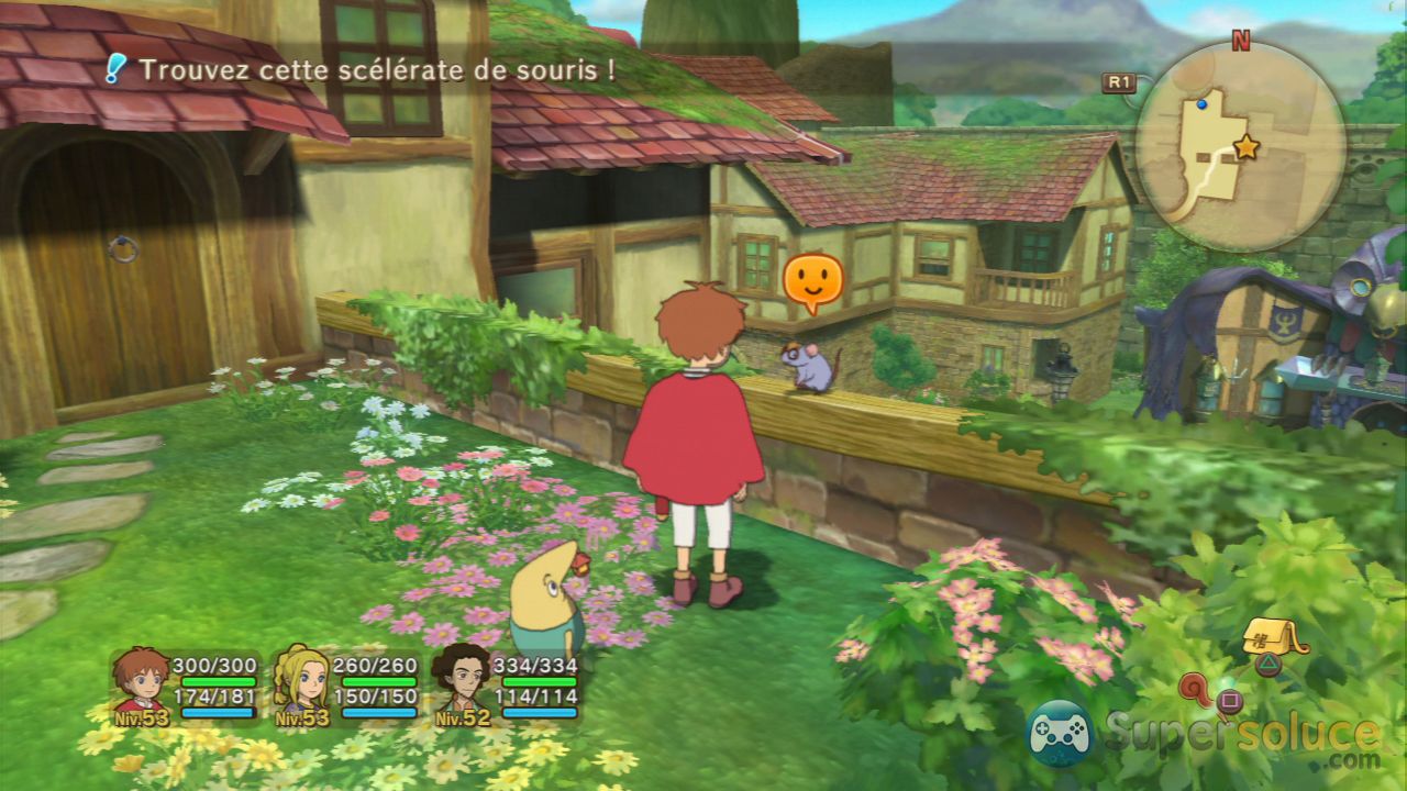 Ninokuni (9)