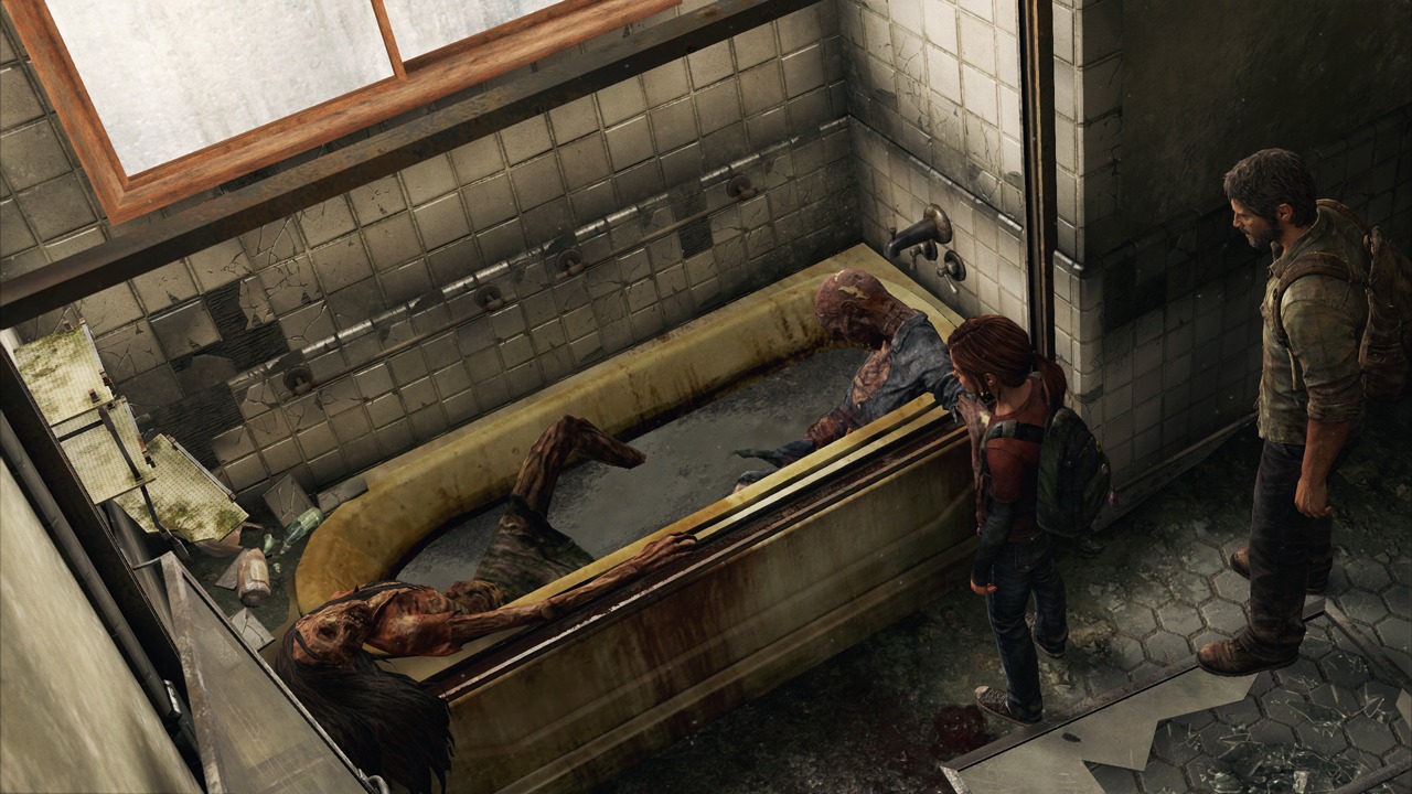 The Last of Us (5)